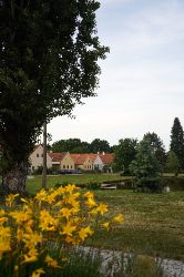 DSC03468